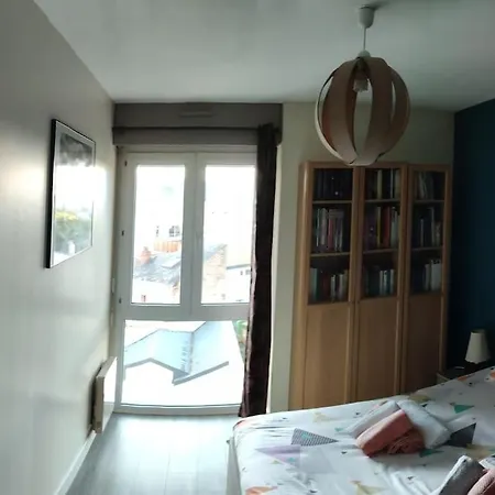 Grand T2 Lumineux Viarme/talensac Avec Parking * נאנט