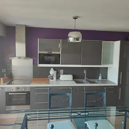 Grand T2 Lumineux Viarme/talensac Avec Parking * נאנט